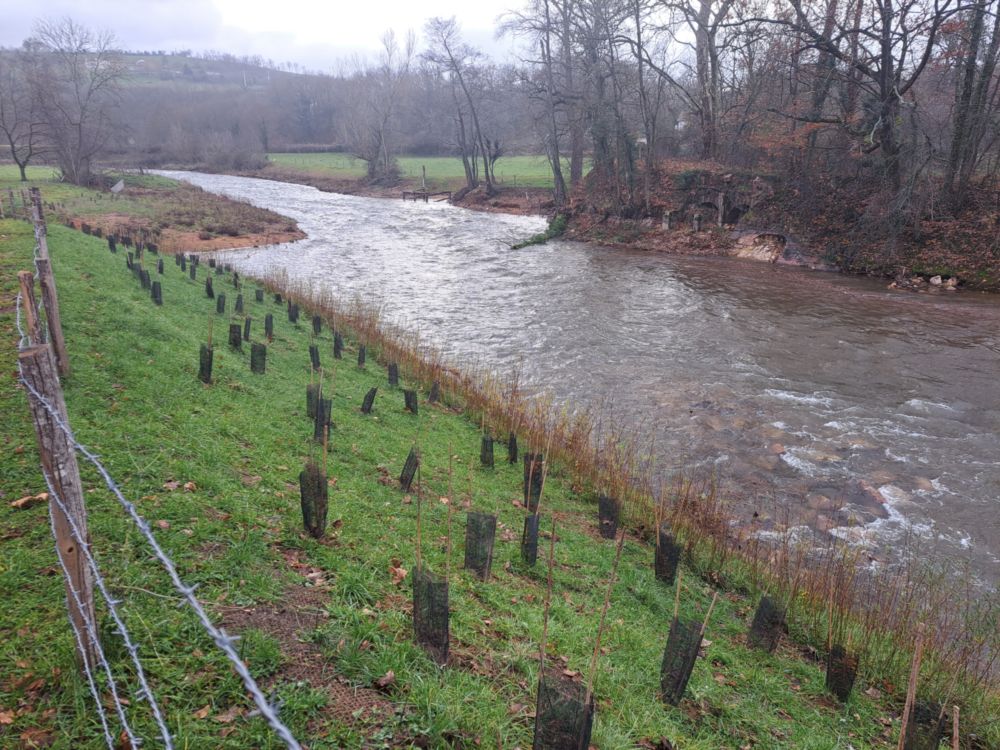 Génie écologique